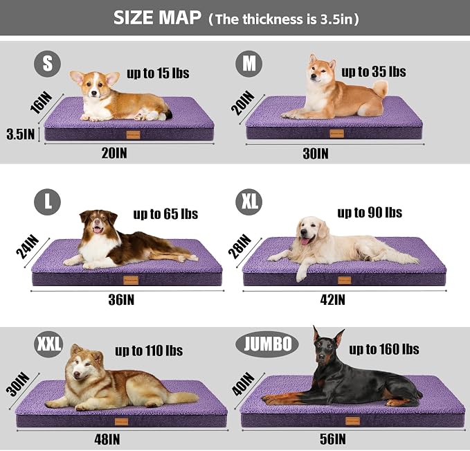 Patas Lague Orthopedic Large Dog Bed Washable Pet Sofa Mat 48''X30''Purple | Egg-Crate Foam Dog Couch For Large Sized Dogs, Waterproof Removable Cover, Soft Pet Crate Bed With Nonskid Bottom