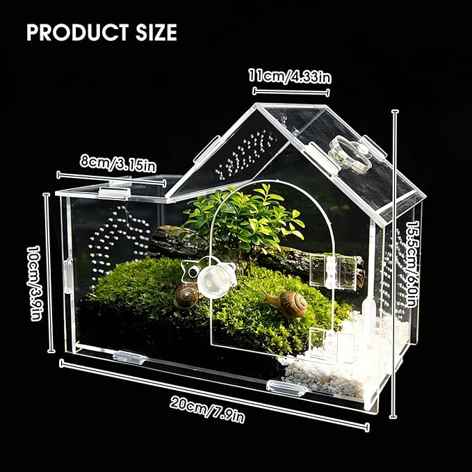 Acrylic Jumping Spider Enclosure with Magnetic Lock – Clear Ventilated Terrarium Box for Tarantulas, Geckos, Mantises, Hermit Crabs, Snails, and Other Small Pets (7.9 x 4 x 6 Inch)