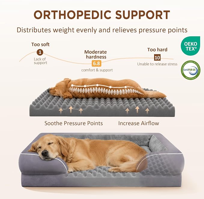Comfort Expression Waterproof Orthopedic Dog Beds for Large Sized Dog | Supportive Egg Crate Foam Large Pet Bed with Removable Bolsters, Dog Couch with Washable Cover & Non-Slip Bottom, 38x25 Inch