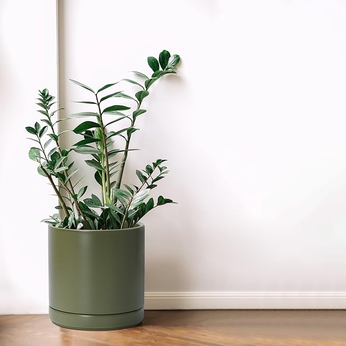 D'vine Dev 8.2 Inch Ceramic Planter Pot, Olive, 94-O-D-J | Modern Cylinder Design, Drainage Hole & Saucer Included, Stable Structure, Elegant Home Accent