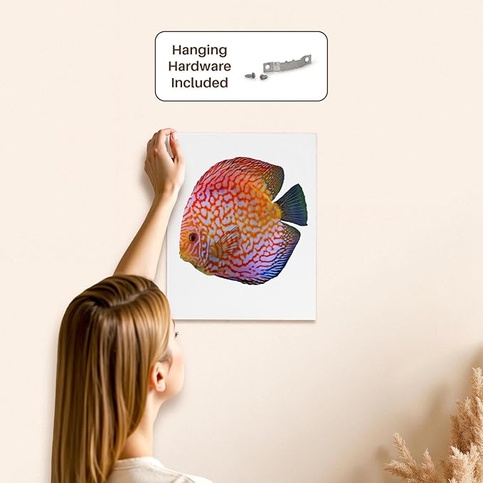 3dRose King Of The Aquarium Discus Fish Image Wildlife Museum Grade Canvas Wrap 11x14