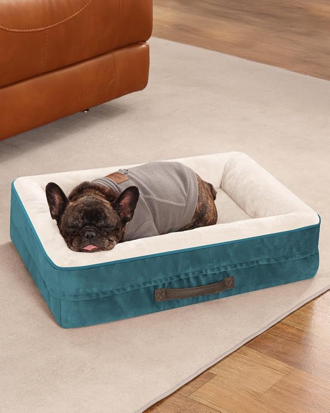 Upvilla Orthopedic Dog Bed, Four-Sided Small Dog Sofa, Washable Cover Blue | Removable Waterproof Dog Bed Cover, Egg-Crate Orthopedic Foam, Built-In Carry Handle, Indoor Small Pet Beds, Cat Beds
