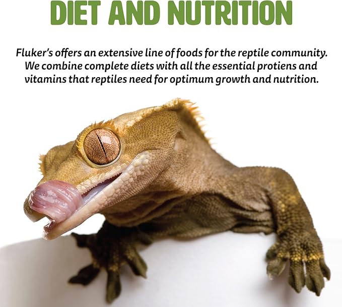 Fluker's Buffet Blend Box Turtle Diet, Insects, Veggies and Fruit with Fortified Pellets, 6.5 oz