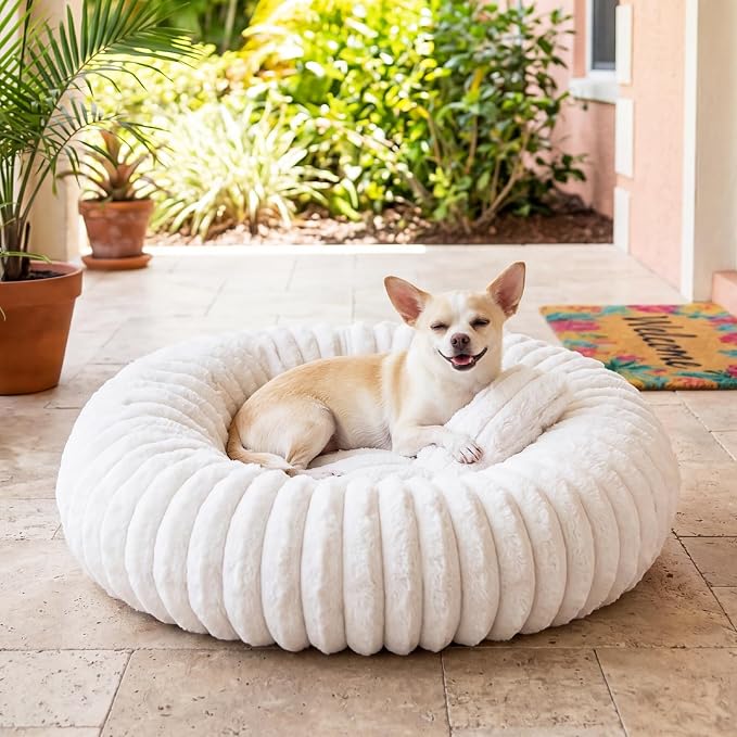 Donut Pet Bed for Indoor Cats and Small Dogs, Self-Heating Dog Bed with Non-Slip Bottom, Winter Comfort Dog Beds for Puppies, Washable & Portable Egg Tart Shape (S) Small cat Bed self Warming