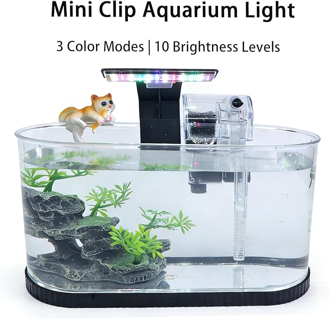 2.2 Gallon Fish Tank Kit, Small Aquarium Starter Tank with Filter and Light, Acrylic Nano Desktop Tank with Color-Changing LED & Decor - Complete Starter Kit for Betta Fish Shrimp Guppy Goldfish Beta