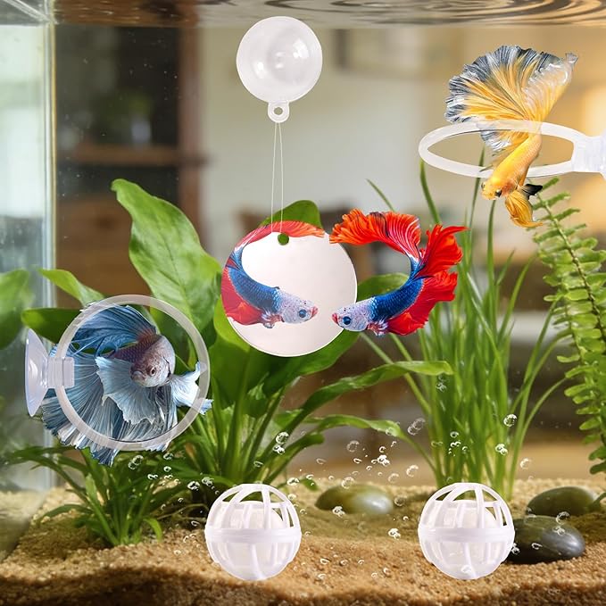 Betta Fish Toys, 2 PCS Fish Exercise Ring and Nitrifying Balls Set, Betta Mirror Toy Set, Feeding Ring with Suction Cup, Fishing Tank Accessories for Gifts (Clear)
