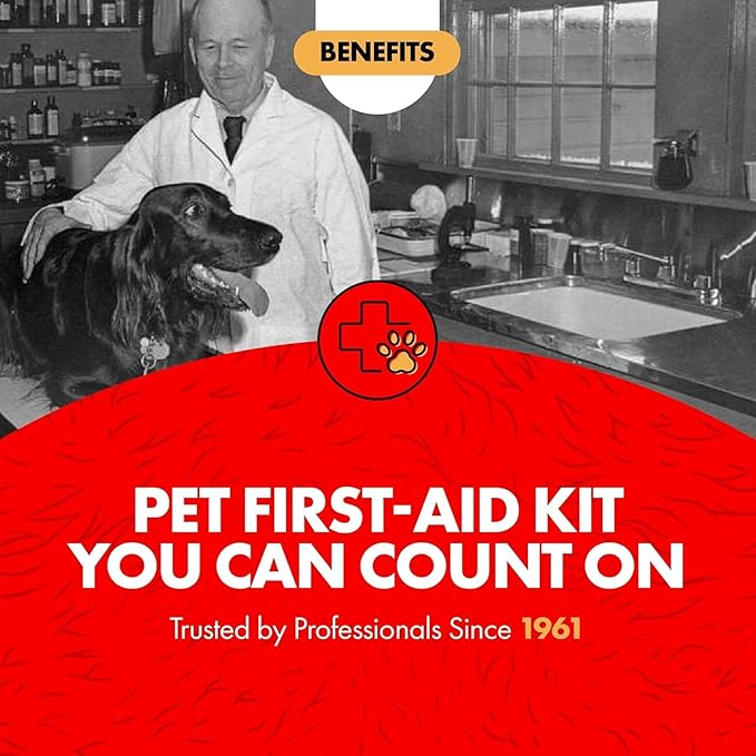 Miracle Care First Aid Liquid Bandage Spray for Dogs and Cats, 4 Ounce, Instantly Protects Minor Wounds and Discourages Licking