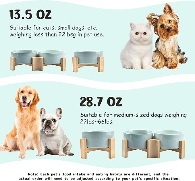 SPUNKYJUNKY 15° Slanted Ceramic Dog and Cat Bowl with Wooden Stand, Tilted Bulldog Food and Water Bowl No Slip Non-Spill for Cats Medium Dogs Big Face Pets 13.5 OZ (1.7 Cups, Morandi Green × 2)