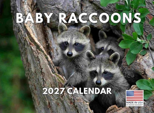 Baby Raccoon Calendar 2027 Monthly Wall Calender 12 Month