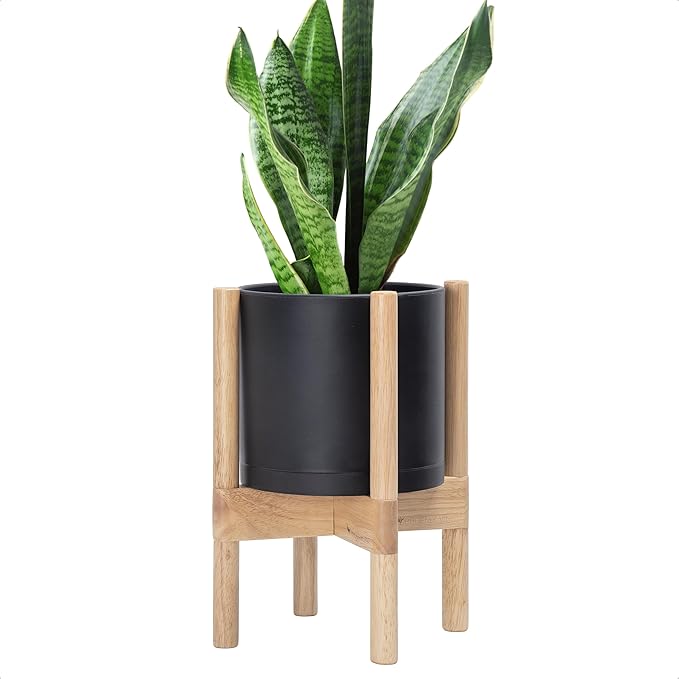 D'vine Dev Plastic Pot with Natural Wood Stand, Black, 8 in, 55-C-J-2 | Mid-Century Inspired Design, Elevated Plant Display, Clean Lines, Sturdy Support, Modern Space-Saving Style