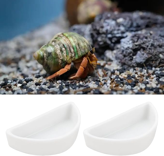 ECSiNG 6PCS Hermit Crab Mini Ceramic Dish 4.21x2x1.05cm Semicircle Shape Reptile Food Bowl for Spider Hermit Crab Tarantula Millipede White