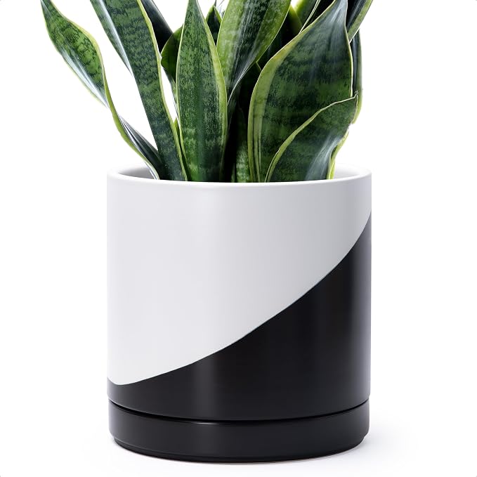 D'vine Dev 10 Inch Ceramic Planter Pot, Black White Diagonal, 94-O-E-K | Modern Cylinder Design, Drainage Hole & Saucer Included, Stable Structure, Elegant Home Accent