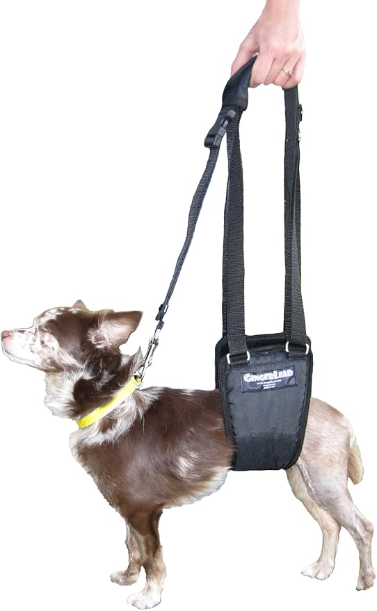 Dog Support Sling Rear Leg Harness, SM Male, Machine Wash & Dry | Fits Small to Medium Size Pets or Larger Barrel-Chested Breeds like Boxers, Bullies. Male Dachshunds use XS Size. Made in USA