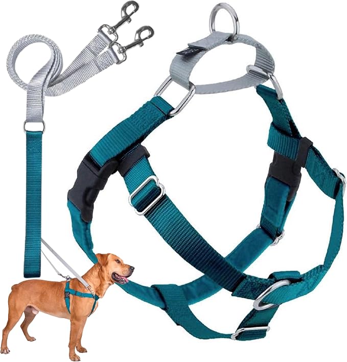 2 Hounds Design Freedom No Pull Dog Harness and Leash, 5/8" SM, Teal | Promotes Easy Walking & Comfortable Control, Secure Fit, Adjustable Harness and Leash Set for Small Sized Dogs, Made in USA