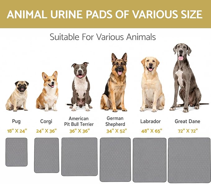 CoolShields Washable Pee Pads for Dogs, 34'' x 52'', Grey, 1 Pack | Ultra-Absorbent Reusable Waterproof Puppy Pad for Crates, Playpens, Carpets, and Floors—Ideal for Dogs, Cats, and Small Pets
