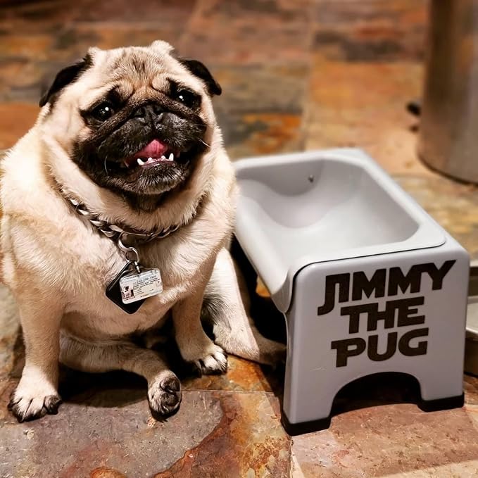 Fluff Trough Elevated Dog Bowl for Food | 5inch Tall Cat & Dog Feeding Station | Vet Approved Non-Toxic Silicone Feeder Bowl Insert | Raised Bowl for Medium and Small Dog/Pet with Flat Face (Gray)