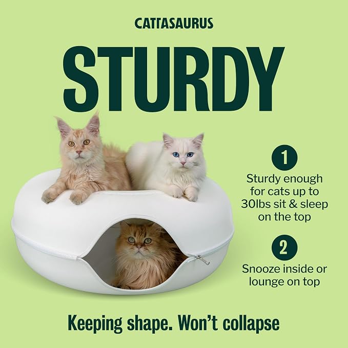 Peekaboo Cat Cave, Extra Spacious for Multiple & Large Cats 15+ lbs, Scratch Detachable Cat Beds for Indoor Cats, Washable Tunnel Bed, Comfy Donut Tunnel (White, Jumbo)