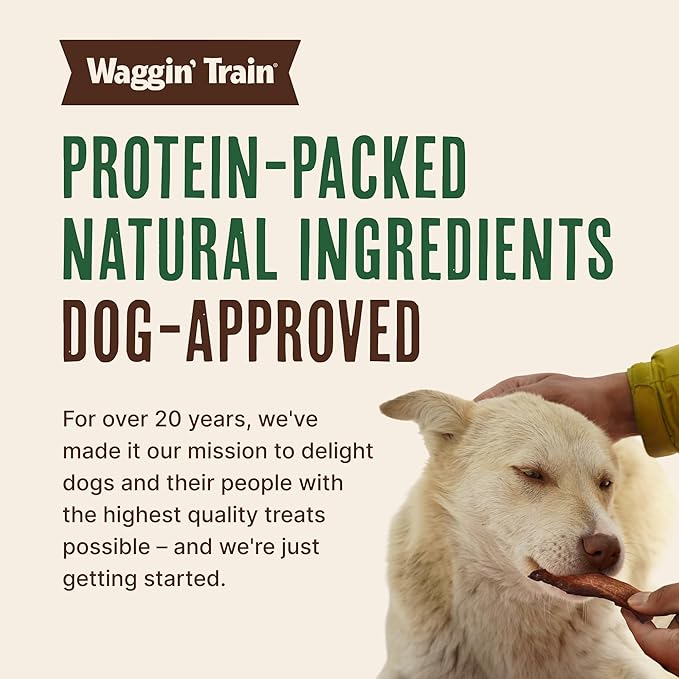 Waggin' Train Salmon Jerky Dog Treats for Skin and Coat Support, Made with 100% Real Salmon, No Grains and No Artificial Flavors or Colors, High Protein Dog Treat, Easily Digestible, 12 oz. Pouch