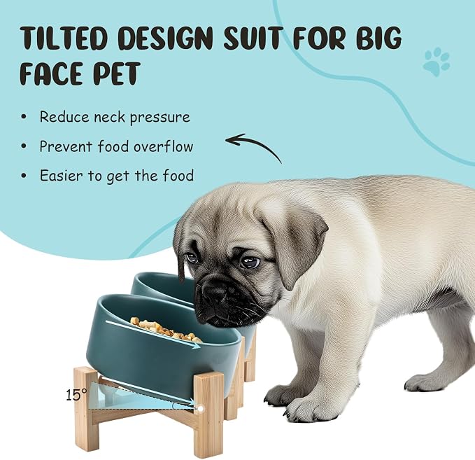 SPUNKYJUNKY 15° Slanted Ceramic Dog and Cat Bowl with Wooden Stand, Tilted Bulldog Food and Water Bowl No Slip Non-Spill for Cats Medium Dogs Big Face Pets 28.7 OZ (3.6 Cups, Green × 2)