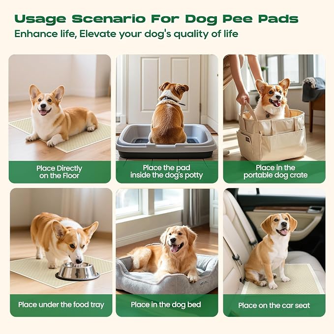 Bamboo Small Puppy Pads Pee Pads for Dogs 22"x22" 336 Count | Training Pads Deodorizing Leakproof Quick Drying Dog Pee Pads Super Absorbent Disposable Puppies, Doggie, Cats, Rabbits