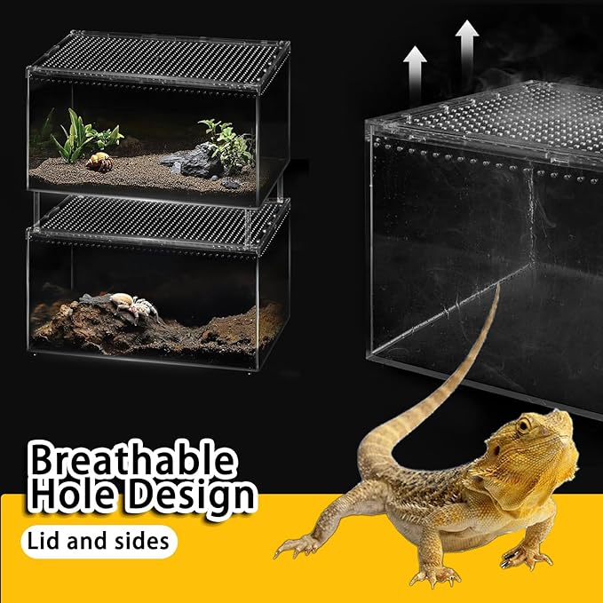 Insect breeding Box Reptile Feeding Box, Waterproof Enclosure Enclosure for arboreal Tarantula Scorpion Sling Lizards Snake Gecko Jumping Spider Snail Isopods, Reptile breeding Box (8x6x4 Inch) ﻿