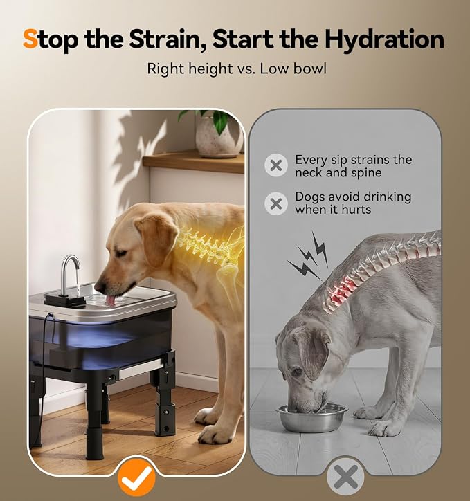 9L/2.38Gal Dog Water Fountain Elevated with 4-Height Adjustable Stand, FeelNeedy Large Pet Water Dispenser with Durable Ultra-Quiet Pump & 304 Stainless Steel Tray, Water Fountain for Dogs Indoor