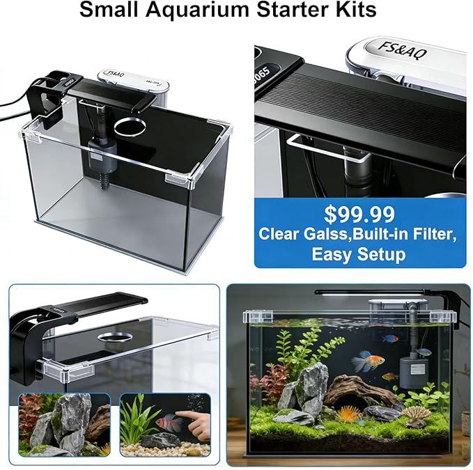 FS&AQ 2.5 Gallon Betta Fish Tank with Filter Light and Lid Small Aquarium Starter Kit Perfect for Desktops Offices or Beginners