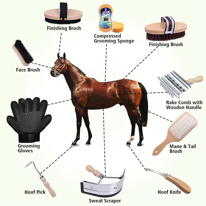 Harrison Howard Horse Grooming Kit 10-Piece Wooden Brush Set with Storage Case Tack Room Supplies Shedding Grooming Massaging Tools