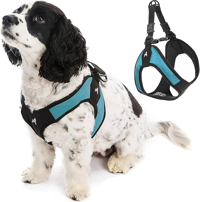 Gooby Escape Free Easy Fit Dog Harness, Step-in, Turquoise, Medium | Patented escape-free frame; Contracts if they back out; Step-in easy on/off; Machine washable; Light POM leash ring