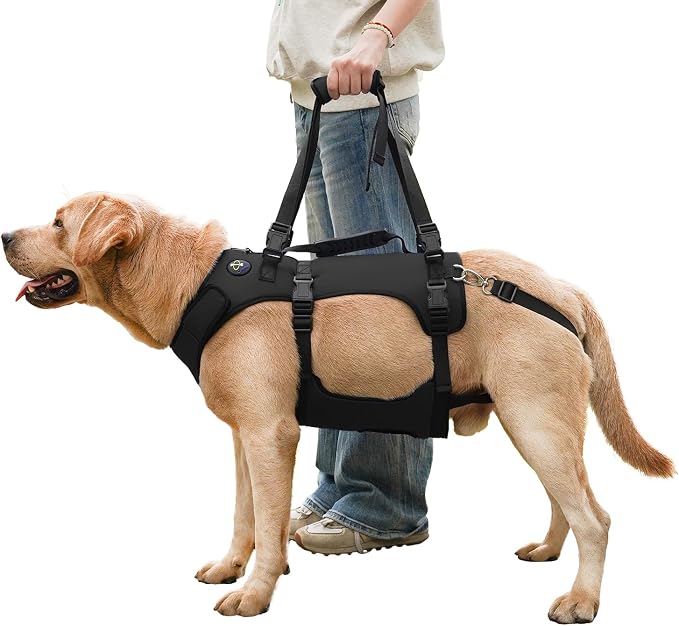 COODEO Dog Lift Harness for Large Dogs, Full Body Support Mobility Aid for Senior Dogs, Adjustable Help for Weak Hind Legs, Arthritis, Stairs & Cars(Black,L)