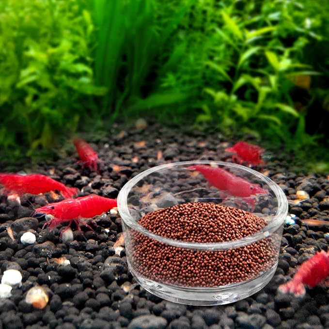 Senzeal 4X Glass Reptile Feeding Dish Food Water Bowl Feeder Bowl Cup Basin Tray Container for Small Pets Reptile Lizard Spider Scorpion Corn Snake Centipede Crickets