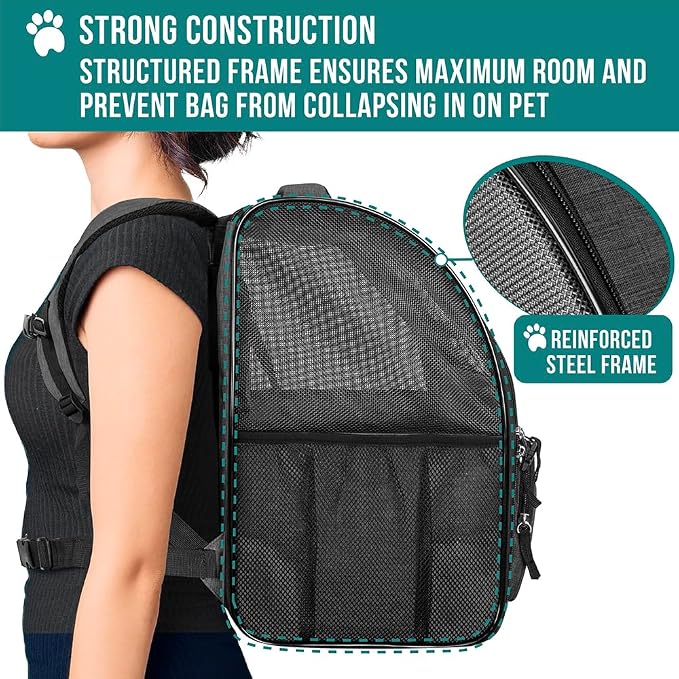 PetAmi Dog Backpack Carrier for Small Medium Dogs Large Cats up to 18 lbs, 2 Side Entry, Structured No-Collapse Frame, Airline Approved Ventilated Pet Backpack for Hiking Camping Travel, Charcoal