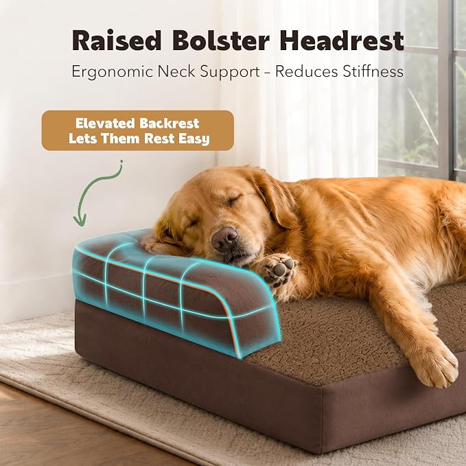 Orthopedic Washable Dog Bed with Bolster for Large Sized Dogs | Pillow Support for Neck Relief, Egg Crate Foam, Waterproof Liner, Anti-Slip Bottom, Machine Washable Cover, 38 x 25 Inch