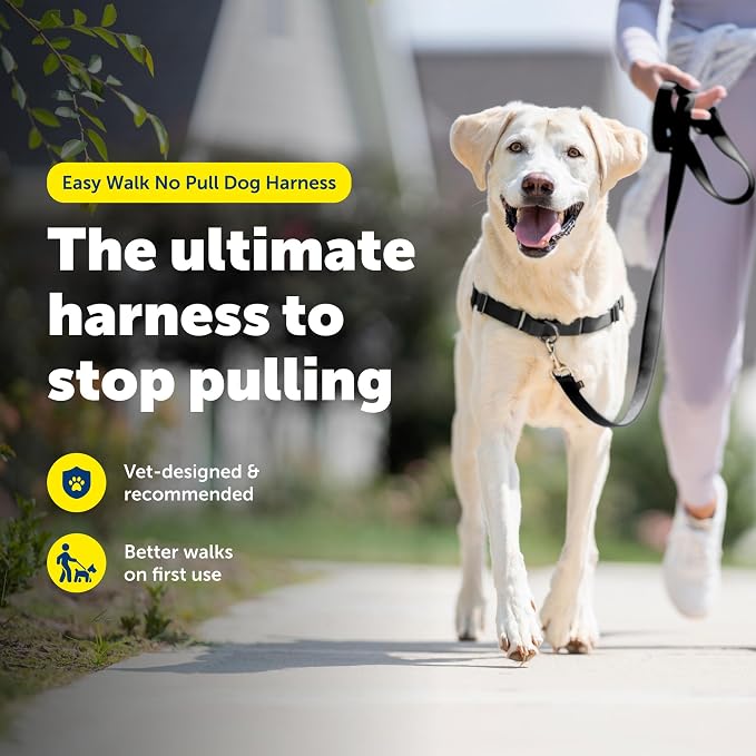 PetSafe Easy Walk Harness for Dogs - Pull-Free Walks - Patented Martingale Loop Design - Front Chest Leash Attachment - Adjustable Comfort Straps - Breathable Harness Design - Large, Black/Silver | Patented Martingale Loop Gives Gradual Shoulder Pressu...