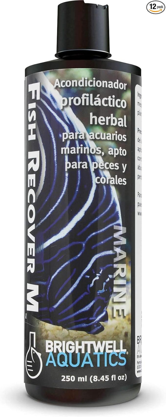 Brightwell Aquatics Fish Recover M – Botanical Remedy for Treating Marine Fish Health Issues, 250 ml