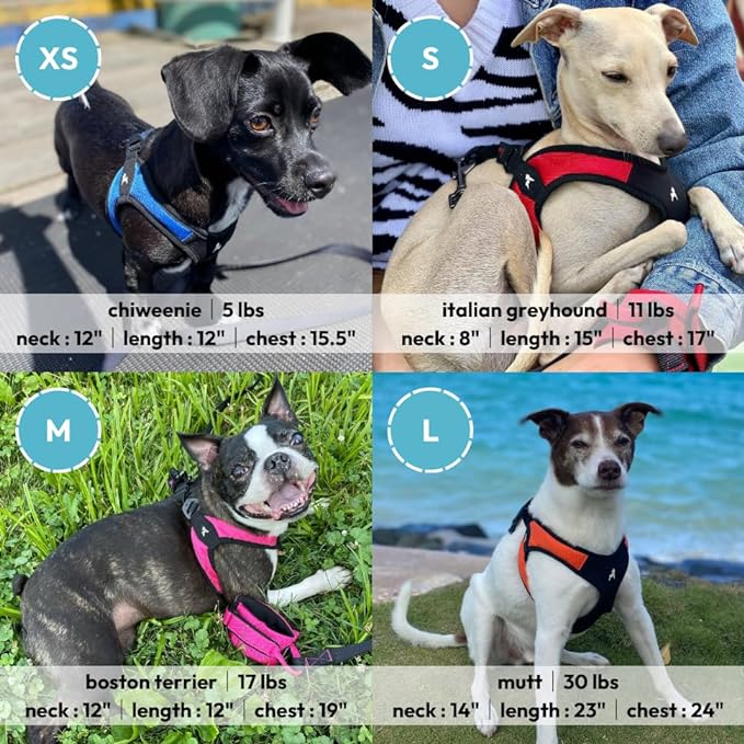 Gooby Escape Free Easy Fit Dog Harness, Step-in, Turquoise, Medium | Patented escape-free frame; Contracts if they back out; Step-in easy on/off; Machine washable; Light POM leash ring