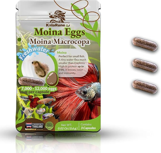 Moina macrocopa Eggs (Water Flea) - for Hatching, Freshwater Live Fish Food for Newborn Fry, Betta Fish and Other Aquatic Species. Encourages Natural Hunting Behavior in Fish. 3 Capsules