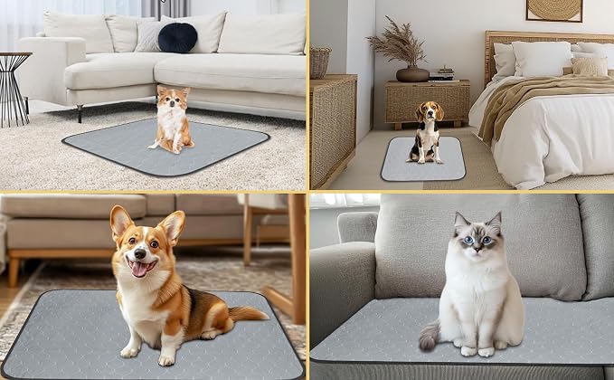 DAHAPYBOO Washable Pee Pads for Dogs 18x24,6Pack | Reusable Puppy Pads for Dogs Non-Slip Waterproof Pet Training Pads for Crate, Playpen, Bed, Sofa,Whelping Box, Potty Training