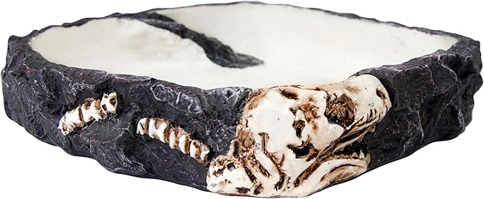 PENN-PLAX Reptology Reptile Fossil Rock Food/Water Dish – Perfect for Bearded Dragons, Geckos, Chameleons, Snakes, Hermit Crabs, and Many More – Large