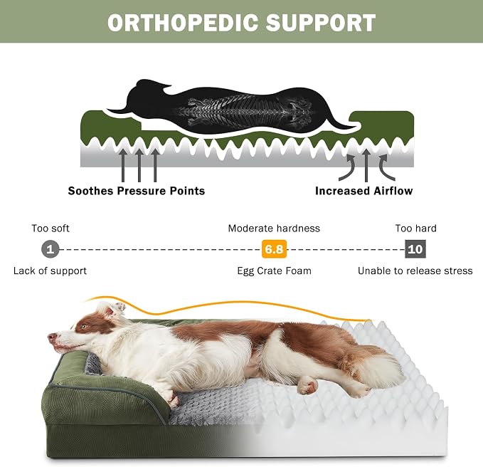 Orthopedic Medium Dog Dogs, Egg-Crate Foam Dog Couch with Washable Removable Cover, Waterproof Lining and Nonskid Bottom