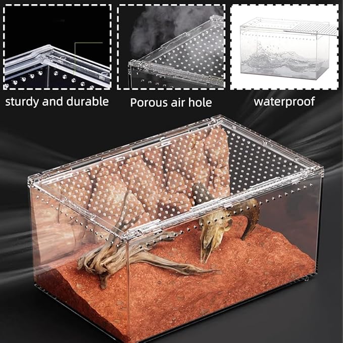 Acrylic Reptile Enclosure, No Assembly Small Reptile Breeding Box for Insect Tarantula Hermit Crab Jumping Spider (12x8x6 in)