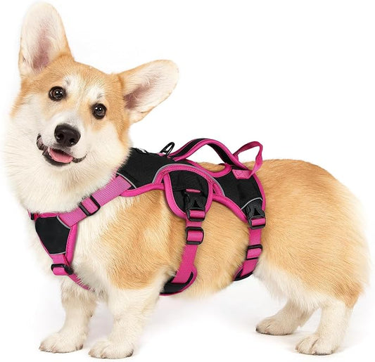rabbitgoo Escape Proof Dog Harness for Small, No Pull with Lift Handle | No Escape, Full Soft Padded, Reflective Adjustable Vest, Leash Clip for Walking Hiking Training, Rose & Black, Small