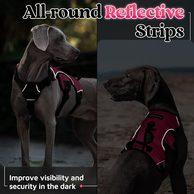 rabbitgoo Escape Proof Dog Harness for Medium, No Pull with Lift Handle | No Escape, Full Soft Padded, Reflective Adjustable Vest, Leash Clip for Walking Hiking Training, Peach Pink, Medium