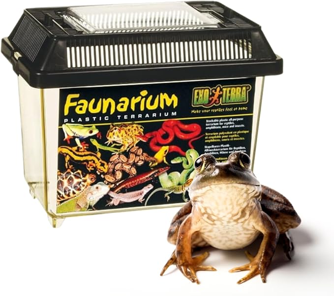 Exo Terra Faunarium Small PT2255 – Plastic Reptile Terrarium and Transport Container for Lizards, Spiders & Amphibians