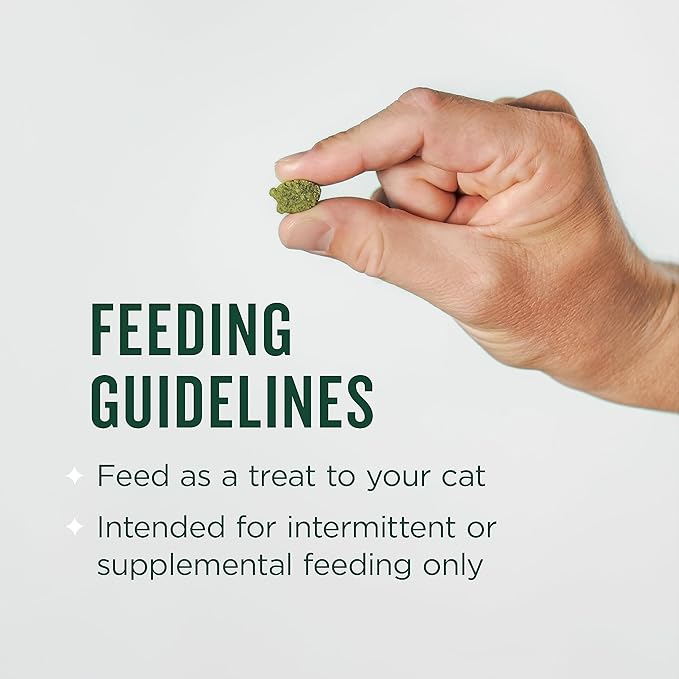 Minties Dental Treats for Cats, Salmon Flavor | 10oz | Pack of 2 | Freshens Breath | Controls Tartar