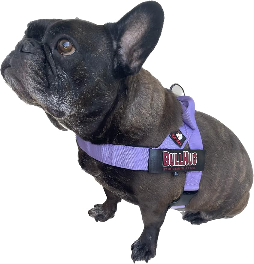 Adjustable Dog Harness– No Pull, No Choke – for English Bulldogs, French Bulldogs, Pugs & Broad-Chested Breeds – Easy, Safe Walks (Purple, Large)