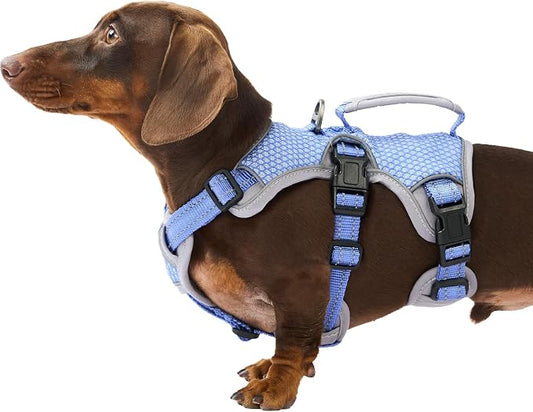 Escape Proof Dog Harness, Dachshund Harness, Reflective Dog Harness with Handle, Durable,Adjustable Vest for Small Medium Large Dogs Walking, Training, and Running Gear (Technicolor Blue,S)