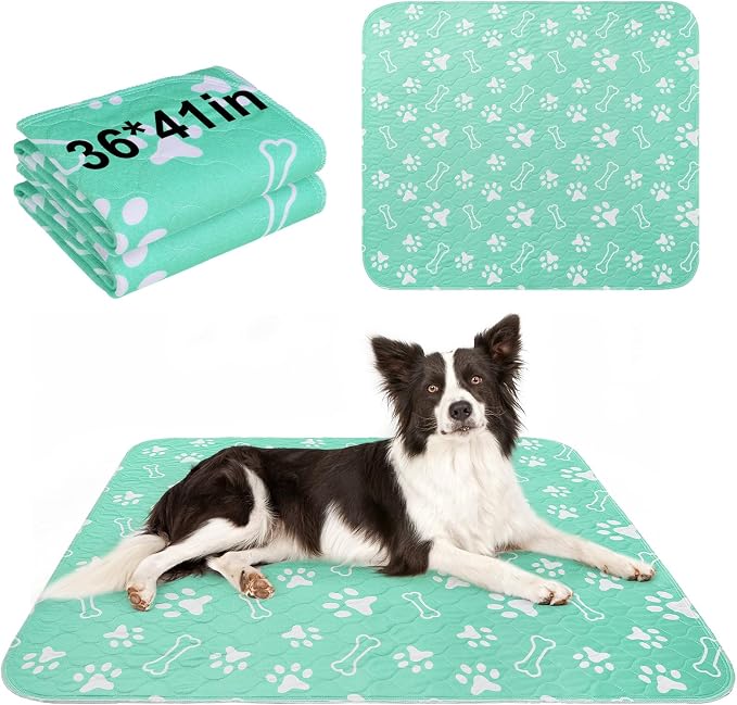 BEAUTYZOO 2 Pack Washable Pee Pads for Dogs,Reusable Puppy Pads 36x41 Aqua | Waterproof Super Absorbent,Non Slip and Leak-Proof Against Urine,Whelping Pads Mats for Puppy Potty Training,Playpen,Crate
