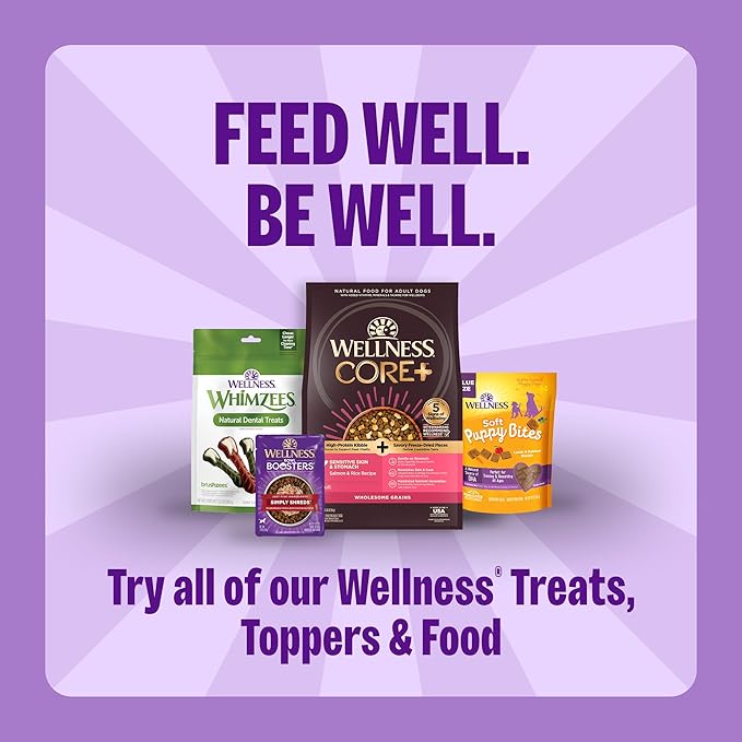 Wellness Old Mother Hubbard Minty Fresh Breath Dog Biscuits, Natural Training Treats, Spearmint and Chicken Flavor, Mini Size, 20 oz Bag