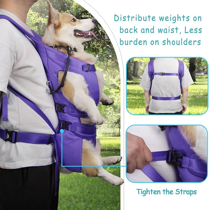PetBonus Dog Front Carrier Backpacks, Legs Out Easy-fit Puppy Chest Carrier | Hands Free, Adjustable, Safety Strap, Walking Hiking Cycling Motorcycle bag, For Small Medium Dogs (Purple, XL)